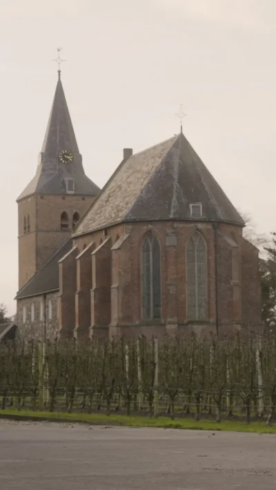 Andelst_vertical banner